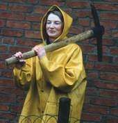 Lotusblumen, wie hübsch!